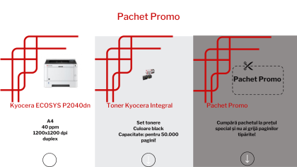 Pachet Promo cu imprimanta laser monocrom A4, 40ppm, Kyocera Ecosys P2040dn, duplex, 1200x1200 dpi, USB, LAN si tonere TK-1160 Kyocera Integral pentru 50.000 de pagini.