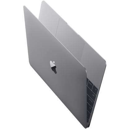 Apple MacBook with Retina Display SPACE GRAY Model A1534: 1.1GHz Dual-core Intel Core M Turbo Boost up to 2.4GHz, 8GB SDRAM, 256GB PCIe-based Flash Storage, Intel HD Graphics 5300, Force Touch, Backlit Keyboard (Russian) / User's Guide (Russian)