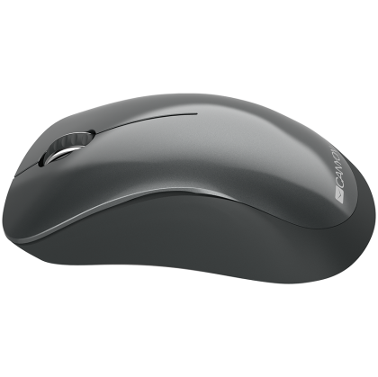 CANYON mouse MW-11 Wireless Black