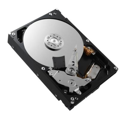 TS HDD 3.5 500GB SATA P300