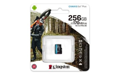 MicroSD Kingston Canvas GO Plus 256GB