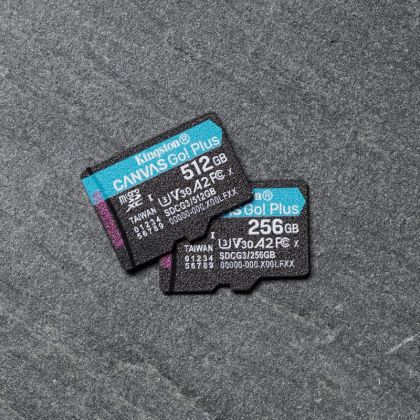 MicroSD Kingston Canvas GO Plus 256GB