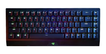 Tastatura Razer BlackWidow V3 Mini HS YS