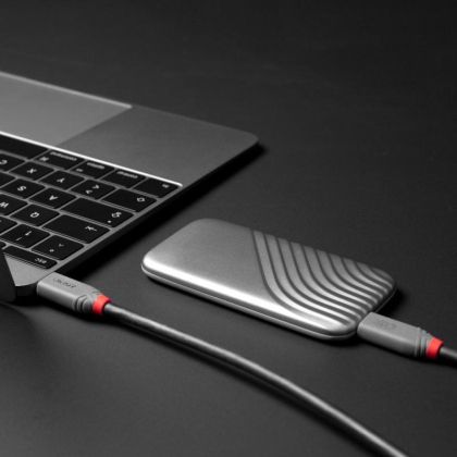 Cablu Lindy USB4 240W USB Type C