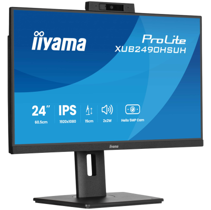 Iiyama ProLite XUB2490HSUH-B2 LED monitor 24 (23.8 viewable) 1920 x 1080 Full HD ,100 Hz IPS 250 cd 1300:1 4 ms HDMI DP
