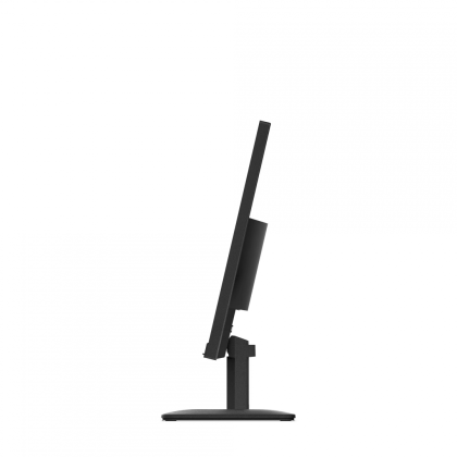 L24-4e 23.8" Flat FHD IPS 100Hz