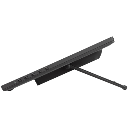 IIYAMA Monitor LED T2455MSC-B2 24" multi-touch IPS 400cd PCAP integrated webcam and a flexible stand