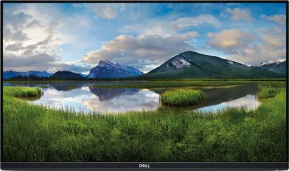 DL MONITOR 27" P2719H LED 68.6cm BK