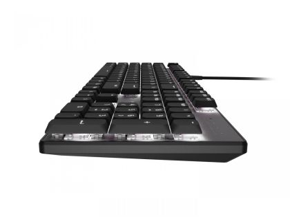 Tastatura Natec AMBERJACK, gri/negru