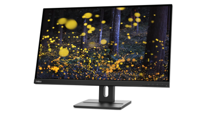 Monitor LED Lenovo ThinkVision E27q-20, 27", IPS, QHD, 4ms, 75Hz, culoare Raven Black