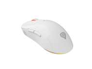 Mouse Genesis WS Zircon 3 26000 DPI alb