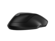 HP 255 Dual Wireless Mouse