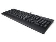 LN Preferred Pro II USB Keyboard-Romania