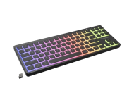 Tastatura WS Genesis Thor 430 TKL negru