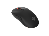 GENESIS Zircon XIII mouse