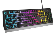 GENESIS Rhod 300 RGB keyboard